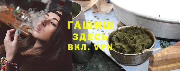 spice Богородицк