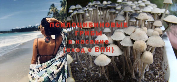 спиды Михайлов