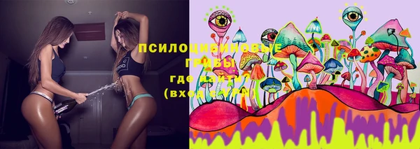 СК Михайловка