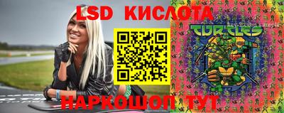 гашик Бузулук