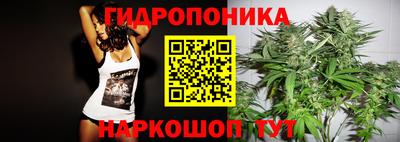 винт Гай