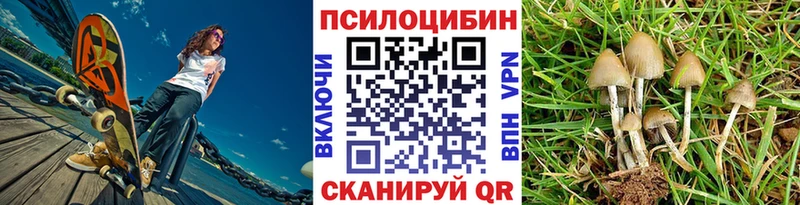 Галлюциногенные грибы MAGIC MUSHROOMS  цены наркотик  Красноярск 