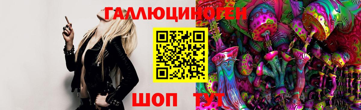 Галлюциногенные грибы Psilocybe  Красноярск  Галлюциногенные грибы мицелий 