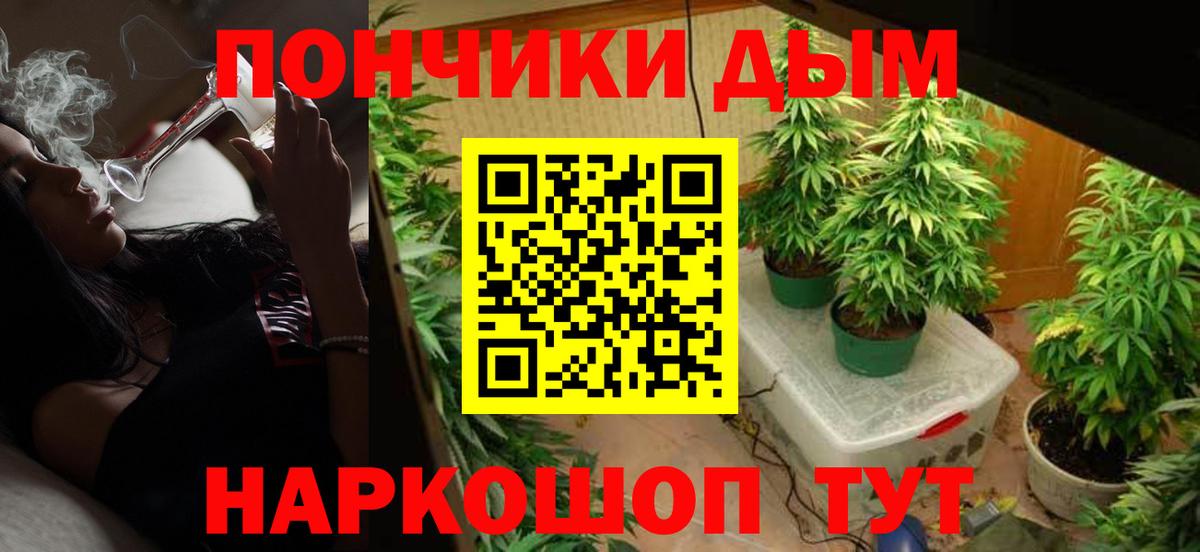 Каннабис OG Kush Красноярск